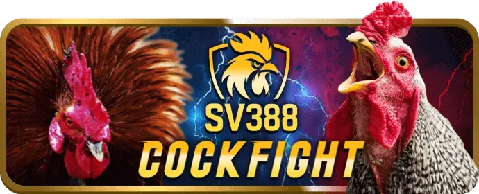 Bảo mật tối ưu big79