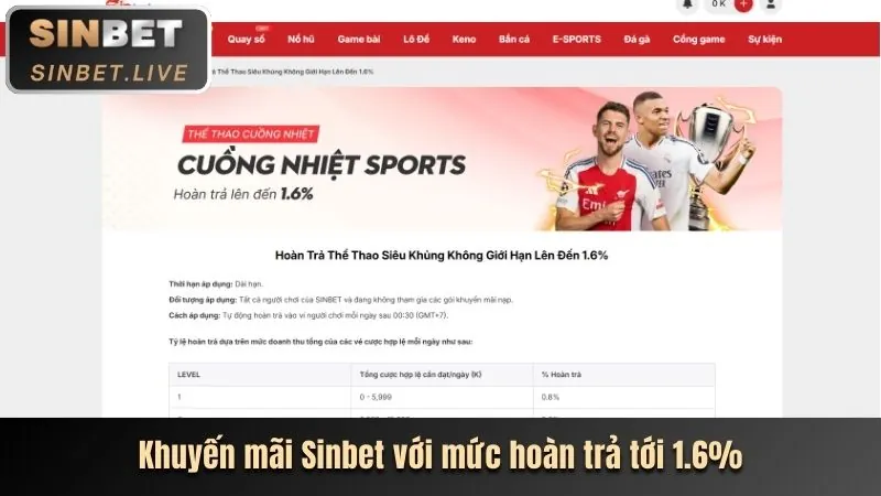 Cá cược thể thao big79